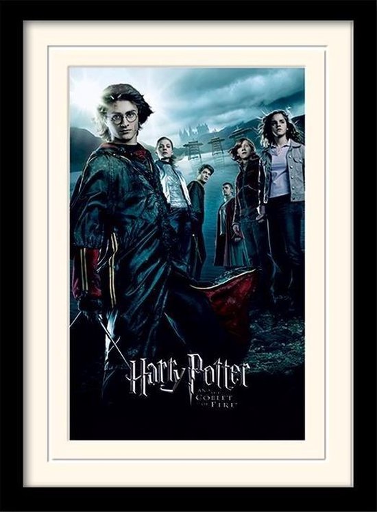 Poster - Harry Potter Mounted & Goblet Fire - 40 X 30 Cm - Multicolor
