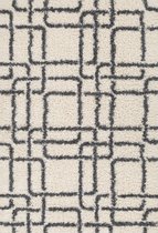 Aledin Carpets Juancho Hoogpolig Shaggy Vloerkleed 160x230cm grijs/wit
