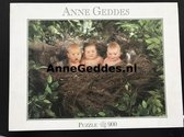Anne Geddes - 57628 – puzzel / puzzle / legpuzzel – Blatz – Baby in nestje – 900 stukjes