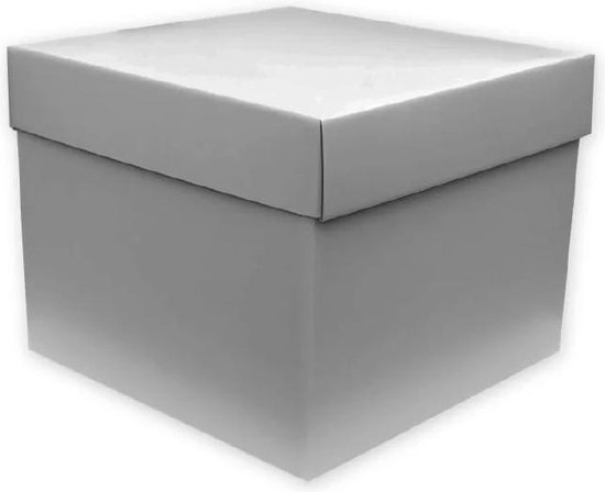 Grote geschenkdoos met deksel | Zilvere doos | Vierkante doos | 25cm |  Vouwdoos Zilver | bol.com