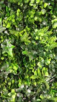 Plantenmuur 1x1m Ivy