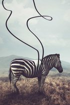 Unstriped Zebra op Geborsteld Aluminium - WallCatcher | Staand 60 x 90 cm | Zebra