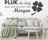 Muursticker Pluk De Dag Maar Laat Iets Over Voor Morgen -  Donkergrijs -  160 x 61 cm  -  slaapkamer  nederlandse teksten  woonkamer  alle - Muursticker4Sale