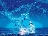 Diamond Painting Dolfijnen - #3 - 50 x 60 cm - Maak de Mooiste Schilderijen Helemaal Zelf