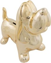 Dieren spaarpot gouden teckel 20,5 cm - Honden cadeau spaarpotten