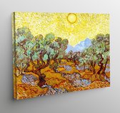 Canvas olijfbomen met gele zon - Vincent van Gogh - 70x50cm