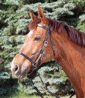 STAR Two Bitless Bridle