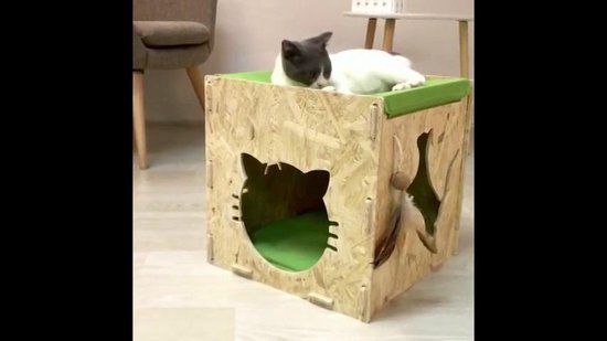 Houten poezenhuis - kattenhuis met hangmat - Cat Cave - speel- en  rusthuisje - krab... | bol.com