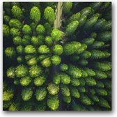 MN Collections - Schilderij - Landscape Photography. - Zwart En Groen - 70 X 70 Cm