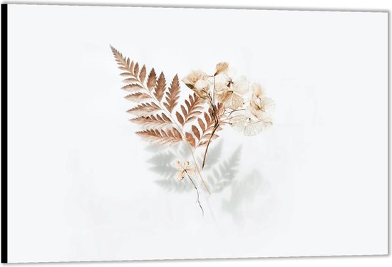Dibond -Bruine Herfstbladeren op Witte Achtergrond- Foto op Aluminium (Met ophangsysteem)
