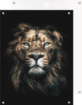 Tuinposter | Dark Lion / Leeuw | 50 x 70 cm cm | PosterGuru.nl