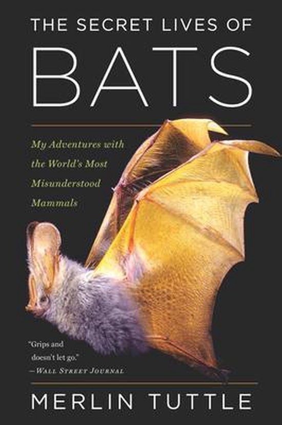 The Secret Lives of Bats - cover