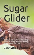 Sugar Glider