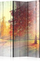 Kamerscherm - Scheidingswand - Vouwscherm - Autumn Sun [Room Dividers] 135x172 - Artgeist Vouwscherm