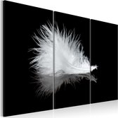 Schilderijen Op Canvas - Schilderij - Pluimpje 60x40 - Artgeist Schilderij