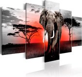 Schilderijen Op Canvas - Schilderij - Lonely Elephant 100x50 - Artgeist Schilderij