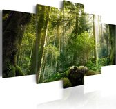 Schilderijen Op Canvas - Schilderij -  The Beauty of the Forest 200x100 - Artgeist Schilderij