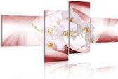 Schilderijen Op Canvas - Schilderij - Orchideeën op zachte roze achtergrond 200x90 - Artgeist Schilderij