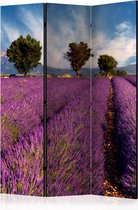 Kamerscherm - Scheidingswand - Vouwscherm - Lavender field in Provence, France [Room Dividers] 135x172 - Artgeist Vouwscherm