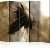 Kamerscherm - Scheidingswand - Vouwscherm - dandelion - sepia II [Room Dividers] 225x172 - Artgeist Vouwscherm