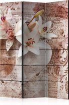 Kamerscherm - Scheidingswand - Vouwscherm - Romantic Memories [Room Dividers] 135x172 - Artgeist Vouwscherm