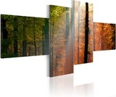 Schilderijen Op Canvas - Schilderij - Zonnestralen door de bomen 100x45 - Artgeist Schilderij