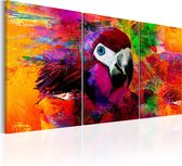 Schilderijen Op Canvas - Schilderij - Jungle of Colours 120x60 - Artgeist Schilderij