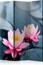 Kamerscherm - Scheidingswand - Vouwscherm - Lotus blossoms [Room Dividers] 135x172 - Artgeist Vouwscherm