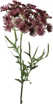 Viv! Home Luxuries Dille bloeiend - zijden bloem - donkerrood - 59cm - topkwaliteit