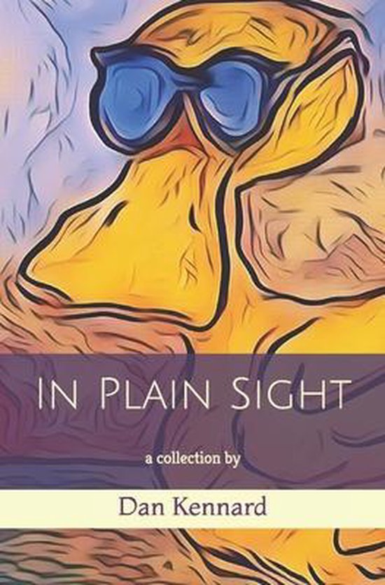 In Plain Sight - cover