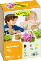 Sembra Kids - Geranium Mini Kit