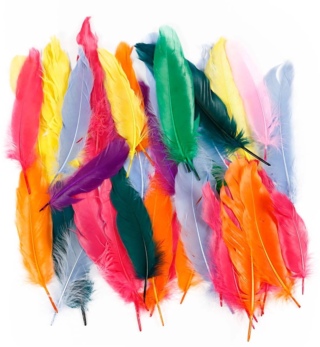 Creotime Veren, l: 12-15 cm, kleuren assorti, eend, 350 assorti