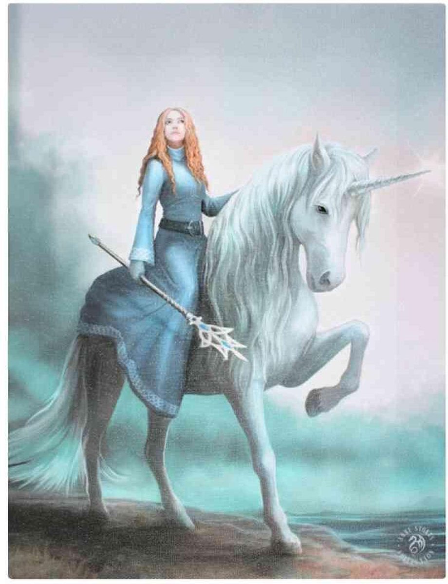 Anne Stokes - Canvas afbeelding Journey Starts 19 x 25 Multicolours