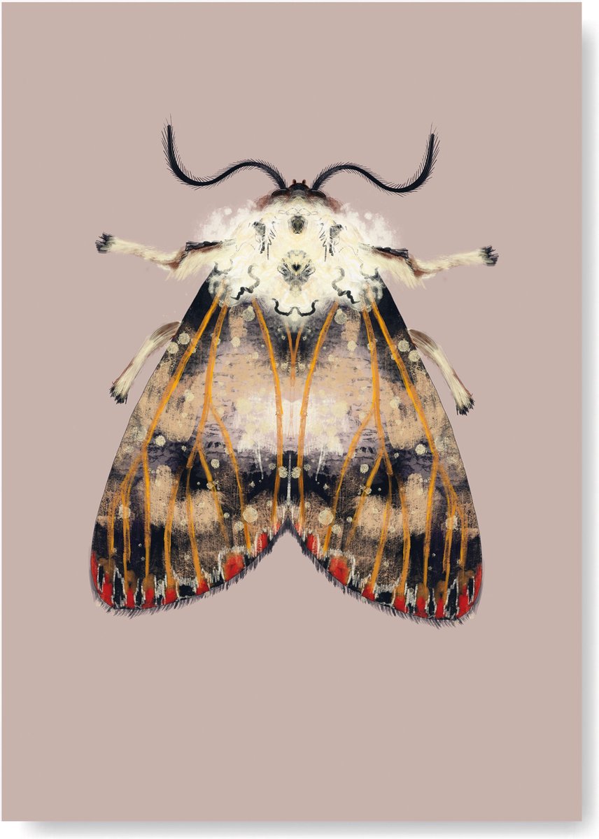Kunst Poster - Dieren Mot met stippen en vlekken A4 Formaat - Kunst aan de muur - Wanddecoratie - Woonaccessoire - Decoratie - Relatiegeschenk - Babykamer Poster- Kinderkamer Kunst van Natuurlijk Angelart