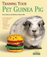 Training Your Pet Series - Training Your Guinea Pig