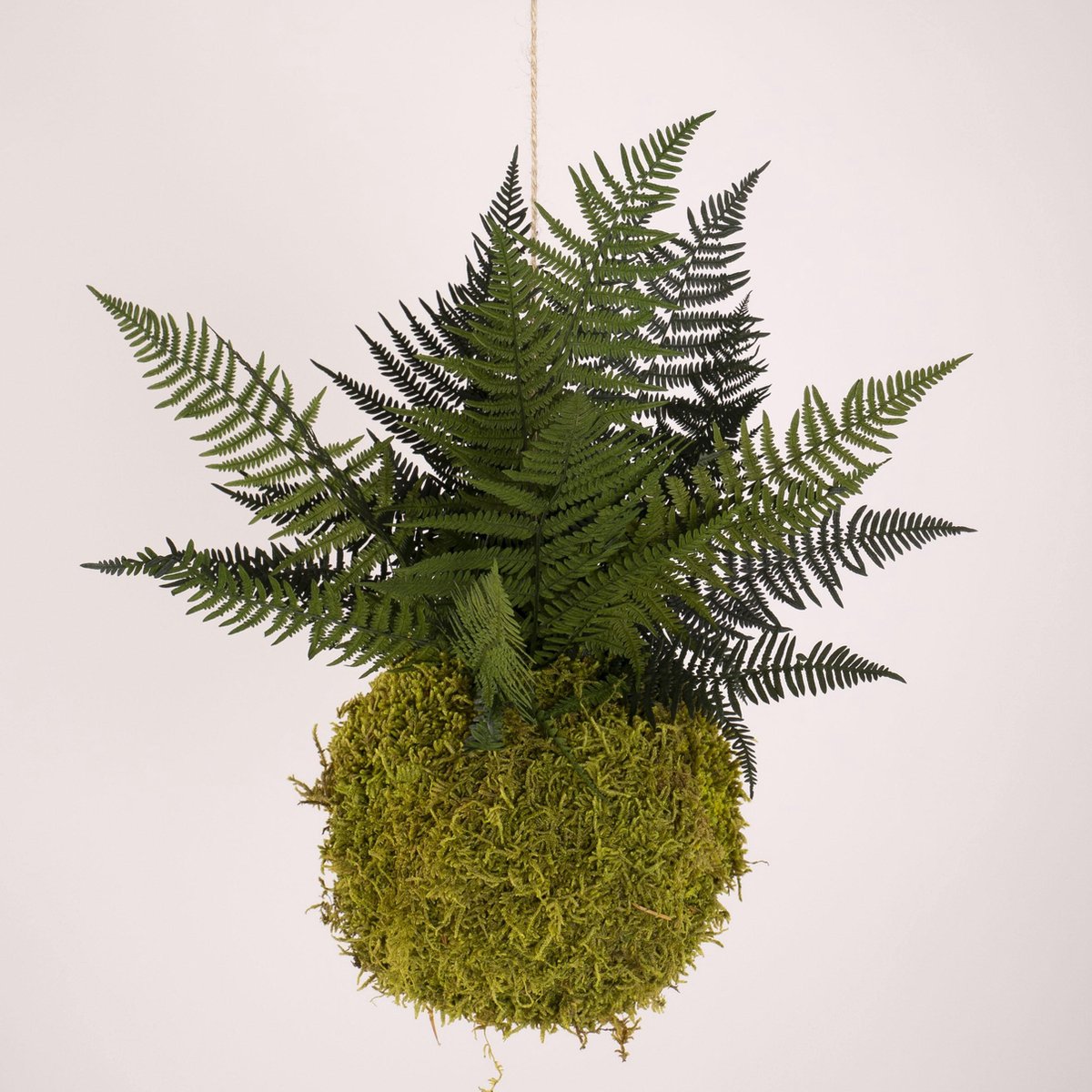 Onderhoudsvrije Kokedama - moskleur: Spring Green - afm. 18 cm - groene varen