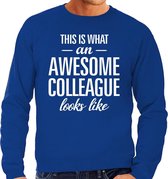 Awesome colleague / collega cadeau sweater blauw heren S