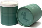 Als een verkwikkende wandeling, Bog Myrtle & Fresh Mint |  Large Tumbler | 100% natuurlijke soja was en etherische oliën | >45 uur genieten en brandt helemaal op | Er zijn geen bet