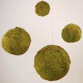Mosbol Platmos - moskleur: Spring Green - afm. 13 cm