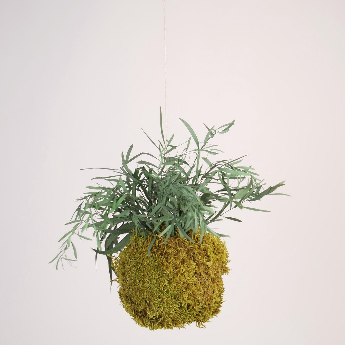 Onderhoudsvrije Kokedama - moskleur: Spring Green - afm. 18 cm - eucalyptus