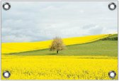 Tuinposter –Fel Gele Bloemen met Boom in Grasveld– 40x30 Foto op Tuinposter (wanddecoratie voor buiten en binnen)