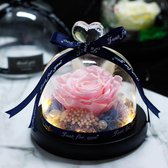 Onsterfelijke Roos in Glas – Roze - Moederdag – Valentijn Cadeautje – Huwelijk – Roos in Glas – Decoratief - Cadeau
