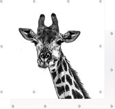 Tuinposter Giraffe 80 x 80 cm | PosterGuru