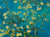 Diamond Painting – “Amandelbloesem” van Vincent van Gogh – 30x40 cm - Volledige bedekking  – Inclusief tools. Door de ronde steentjes ook ideaal voor beginners.