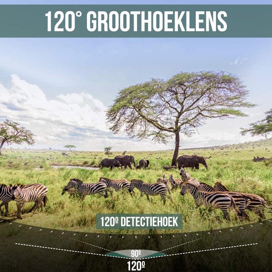 Wildkamera OEM/ODM Fabrikpreis Tierfallenkamera 4K Jagdkamera für Nachtsicht Mit