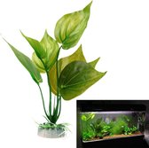 Nep waterplant met grote bladeren op steen - Aquarium of Terrarium decoratie planten (klein)