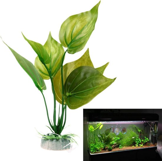 Vruchtbaar Sociologie oase Nep waterplant met grote bladeren op steen - Aquarium of Terrarium decoratie  planten... | bol.com