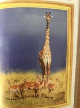 Diamond Painting 50 X 40 - Giraf met reetjes - Volledige bedekking, Complete set 040