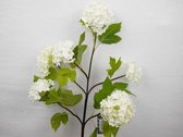 SENSE Viburnum Roseum - Gelderse Roos x6 cream 60cm - Zijdebloem - Kunstbloem - Vensterbank decoratie - Boeket bloem - Bloem wit