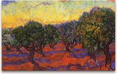 Handgeschilderd schilderij Olieverf op Canvas - Vincent van Gogh 'Boomgaard in de Provence'